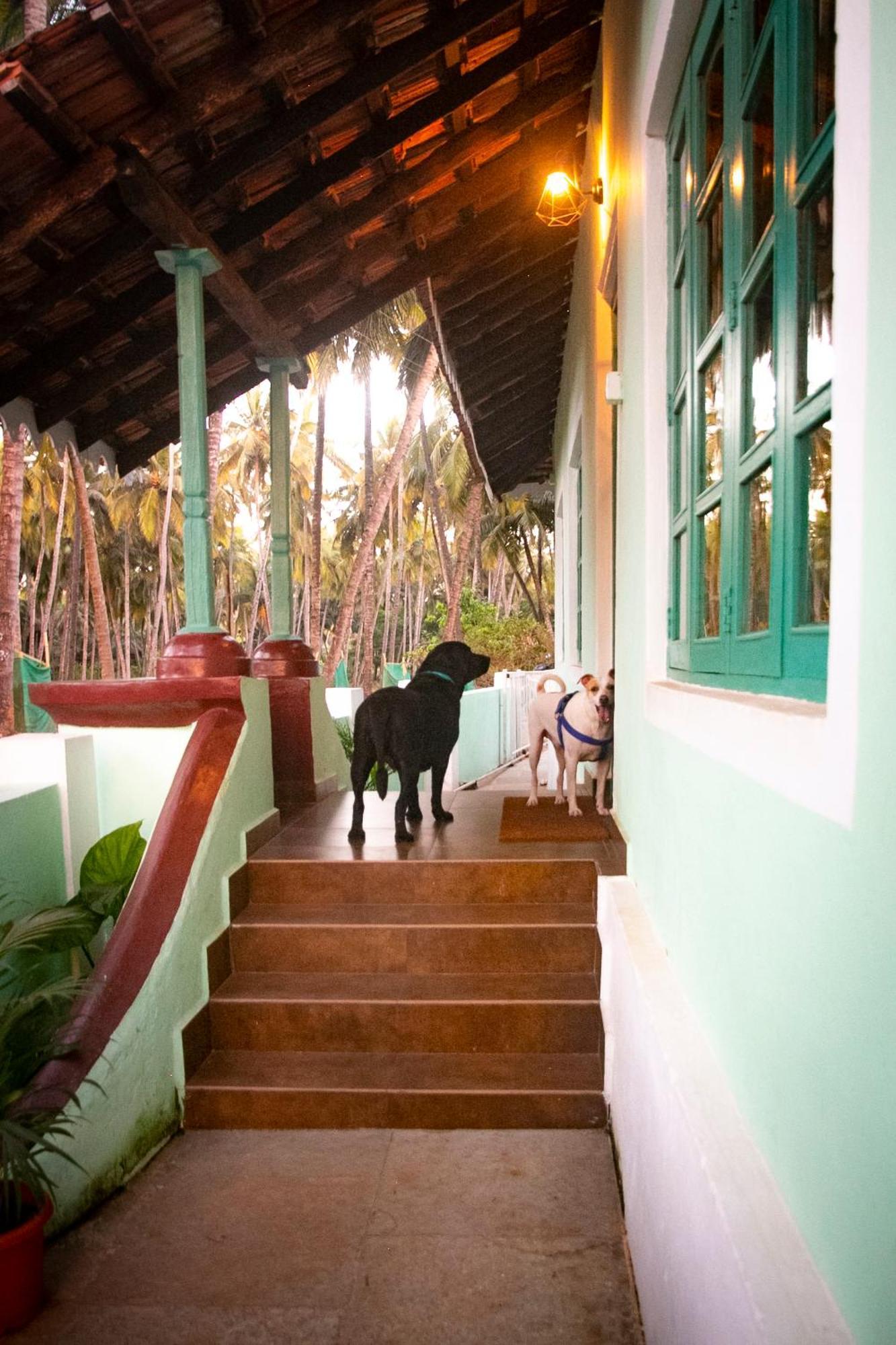 The Bungalow Bogmalo An 1880 Indo Portuguese Heritage Beach Villa South Goa Exterior photo